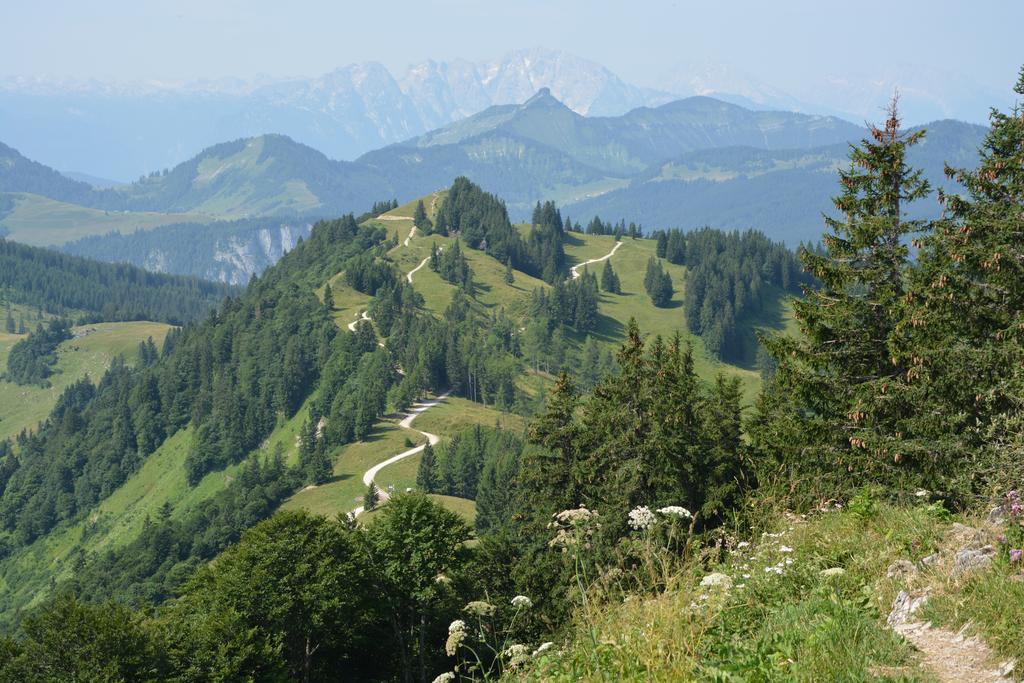 Appart Weisse Urlauben Am Wolfgangsee Санкт-Гільген Екстер'єр фото